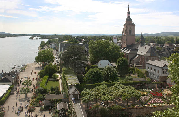 Eltville, Blick vom Burgturm auf Stadt und Rhein