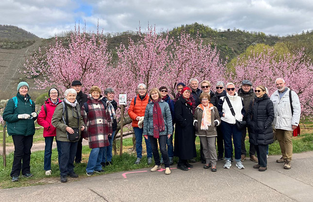 Gruppe vor den Pfirsichblüten Gruppe vor den Pfirsichblüten