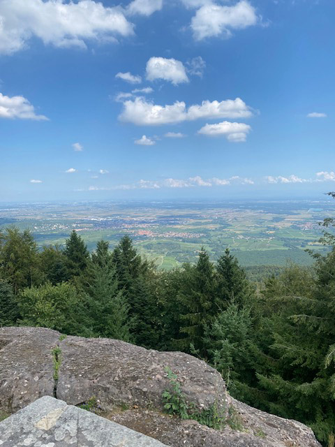 Blick vom Odilienberg ins Rheintal