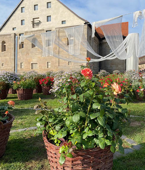 Erfurter Gartenschätze vor der ehem. Peterskirche