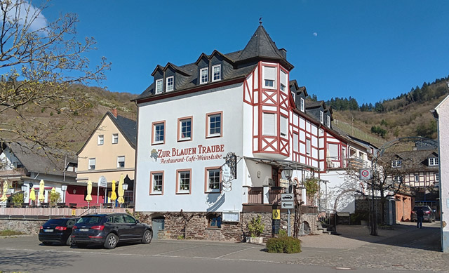 Neef, Blaue Traube Neef, Blaue Traube