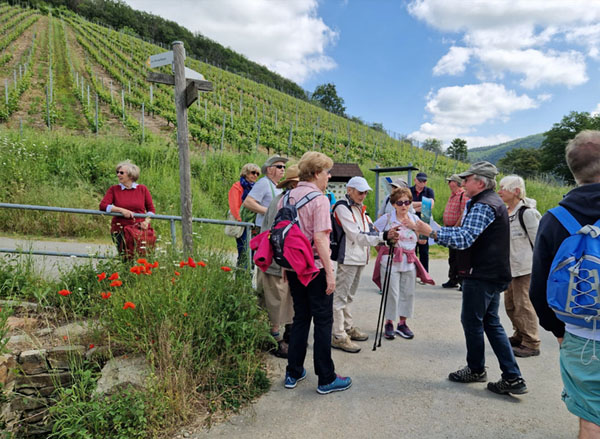 Mit Rolf Hoffmann das Traumpfädchen erwandern