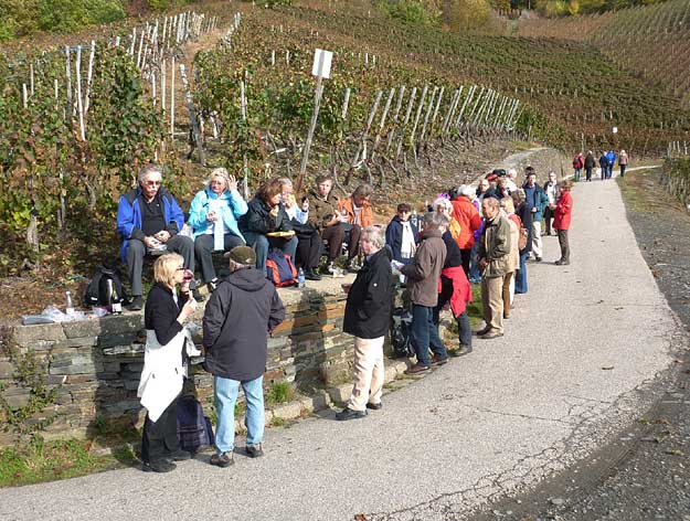 Picknick im Weinberg