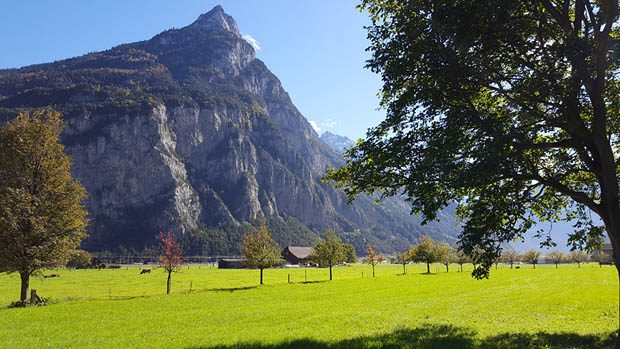 Rast auf der Gotthard-Nordseite bei Erstfeld