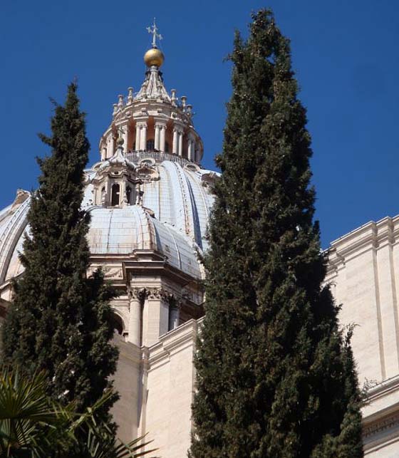 Rom: Kuppel von St. Peter