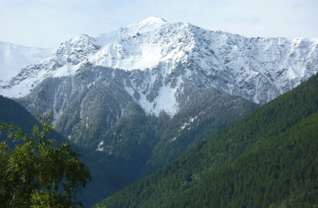 Das Hasenohr über Schlanders mit frischem Schnee