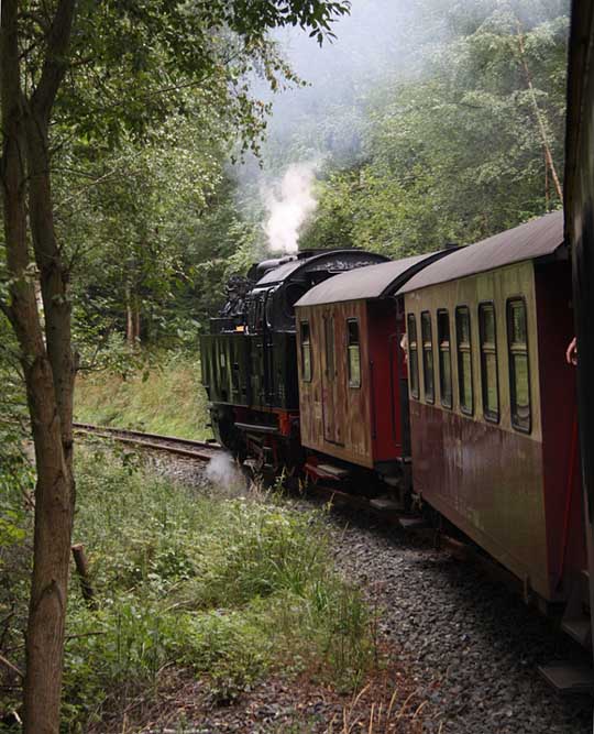 Selketalbahn-Dampfzug mit 99 6001 Selketalbahn-Dampfzug mit 99 6001
