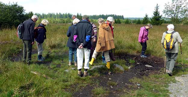 Schwankender Hochmoorboden