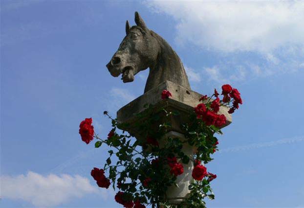 Zweibrücken: Stadt der Rosen und der Rosse