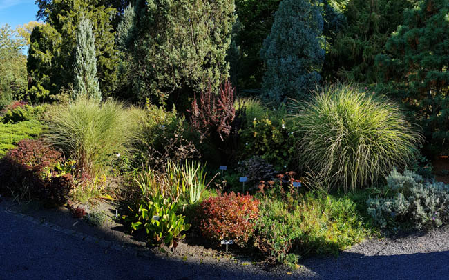 Arboretum, Im neuen Park