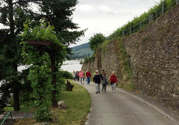 Assmannshausen, Aufstieg in die Weinberge