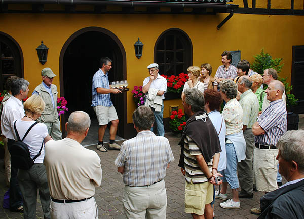 Weinprobe in Weingut Reif